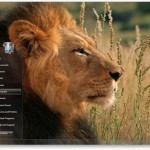 Safari Wallpaper 03- VikiTech