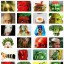 album-photos-facebook