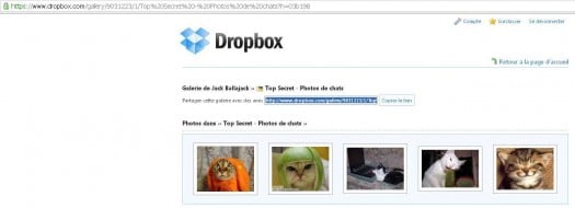 dropbox-acces-gallerie dropbox-acces-gallerie