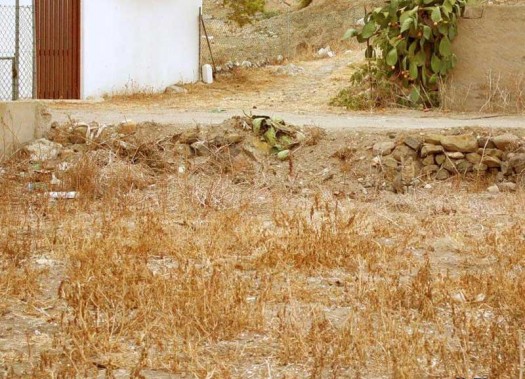 chat-anonyme