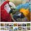 puzzle-en-ligne