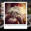 photopile-photo-instagram