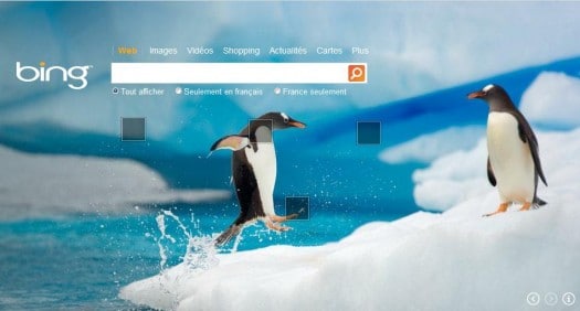 bing