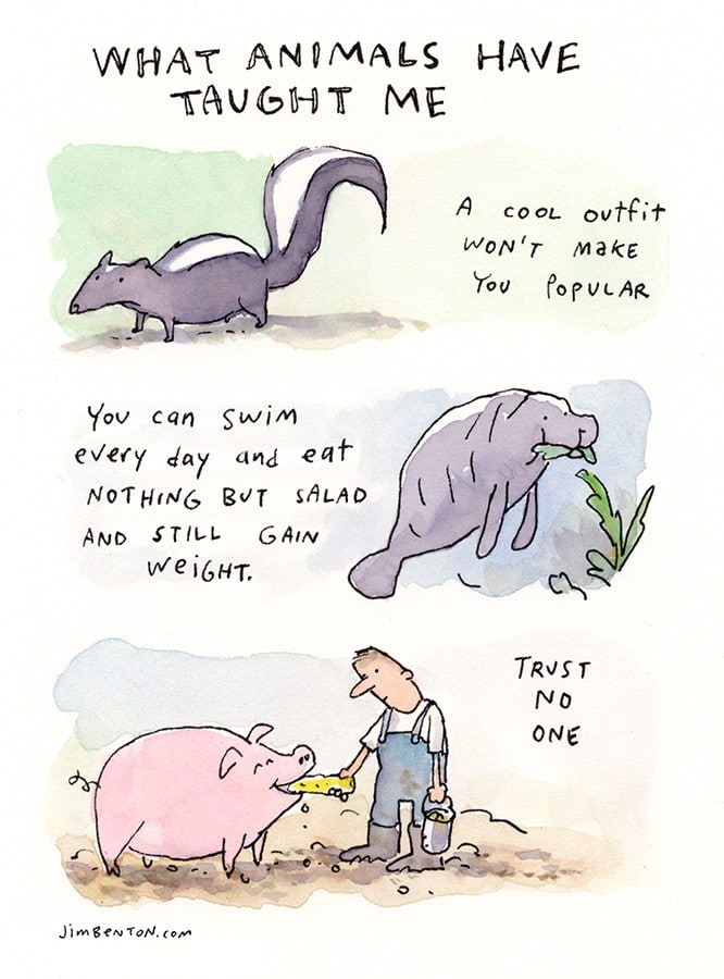 what-animals-have-taught-us