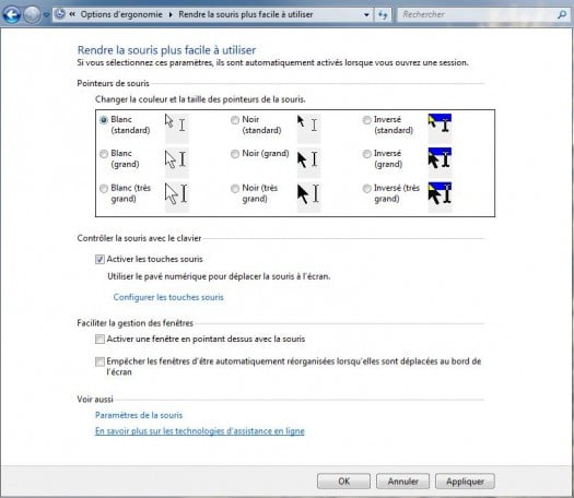 windows7-ergonomie-activer-touches-souris windows7-ergonomie-activer-touches-souris