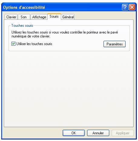 xp-options-accesibilite xp-options-accesibilite