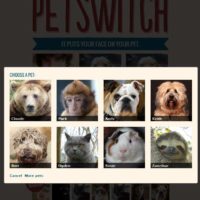 petswitch