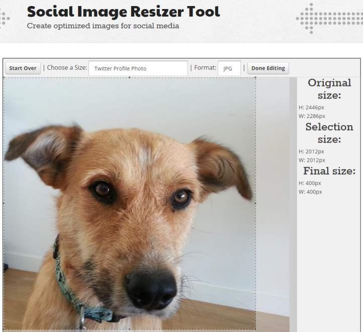 photo-reseaux-sociaux