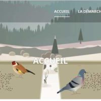 birdlab