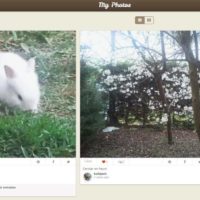 pictacular