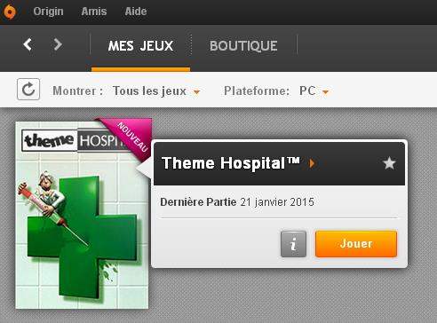 theme-hospital-origin