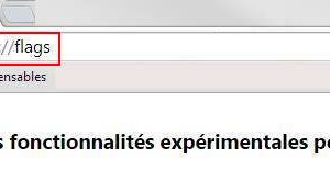 chrome-flags