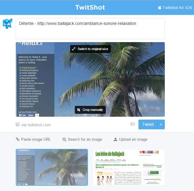twitshot-interface