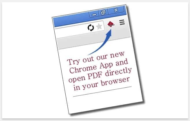 pdf-zorro-icone