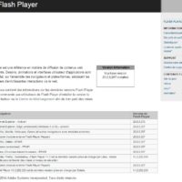 flash-player-version