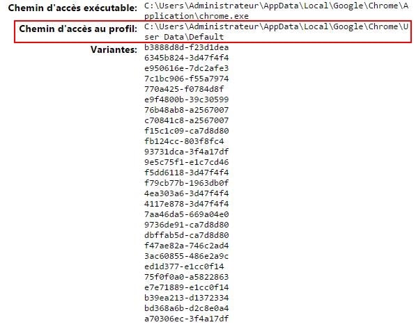 chrome-profil