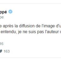 juppe-faux-tweet