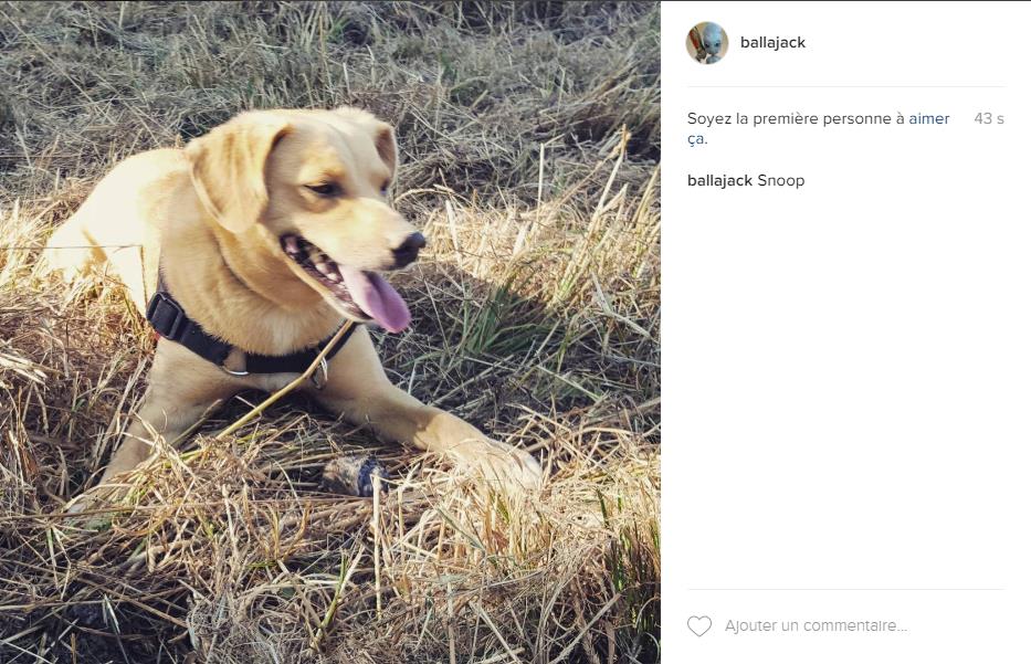 instagram-snoop