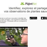 plantnet