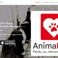 animalost