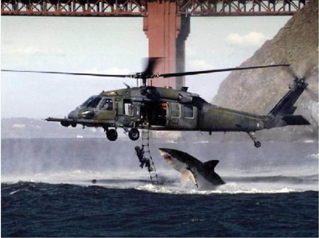 requin-helicoptere