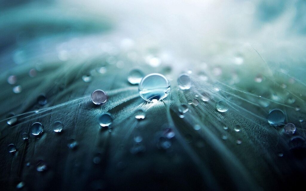gouttes d'eau